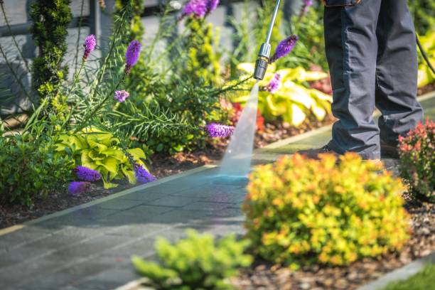 Professional Pressure Washing Services in Sandoval, IL